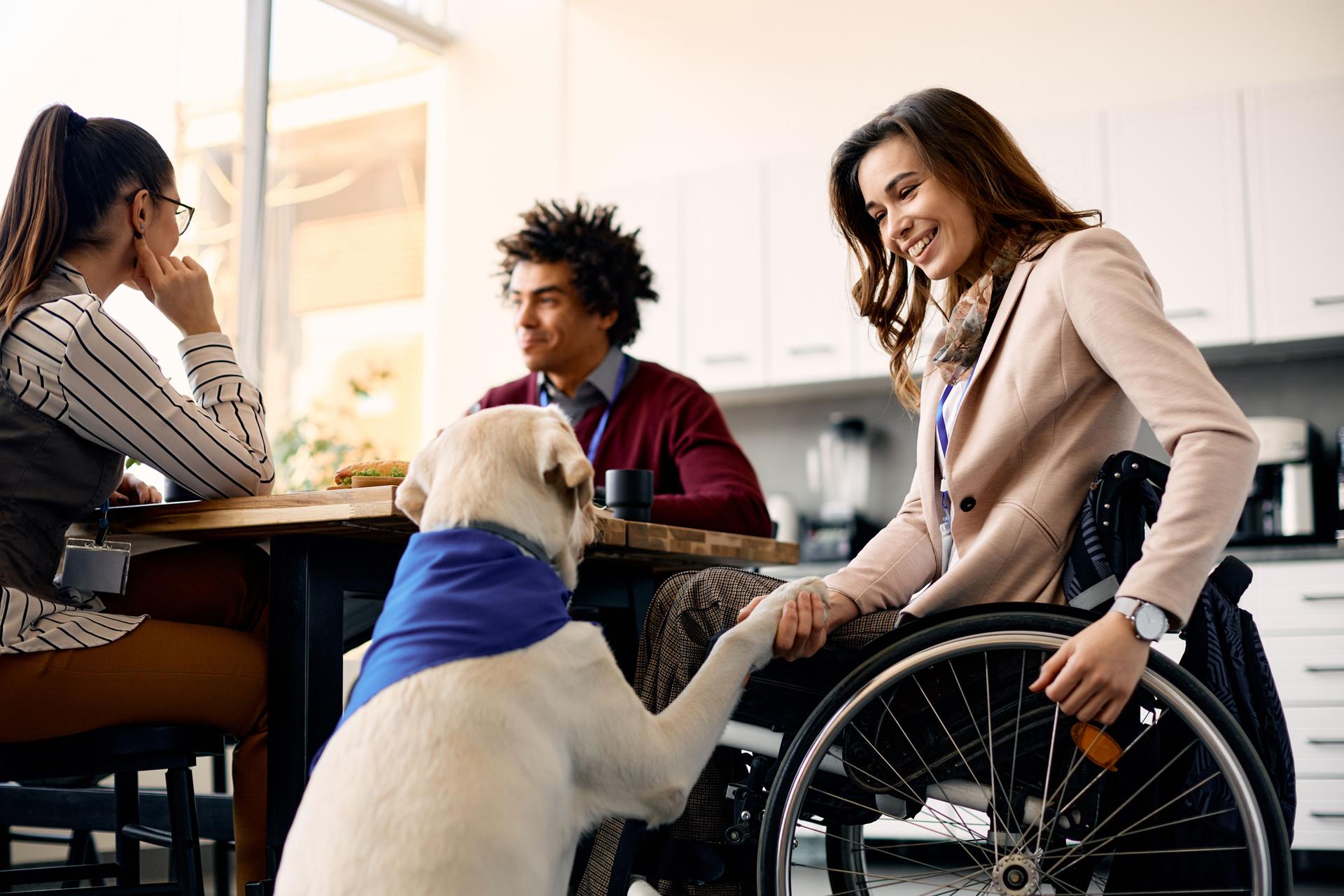 Assistance dog giving paw to businesswoman who is using a wheelchair.