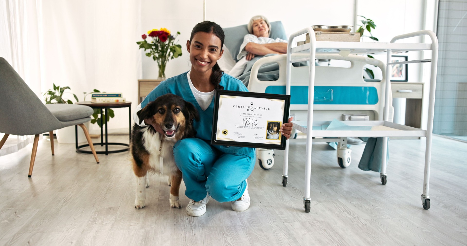 Happy woman, portrait and nurse with service dog, certificate or senior patient for healthcare aid or loyalty at hospital. Female person, caregiver and animal with frame for elderly care or support